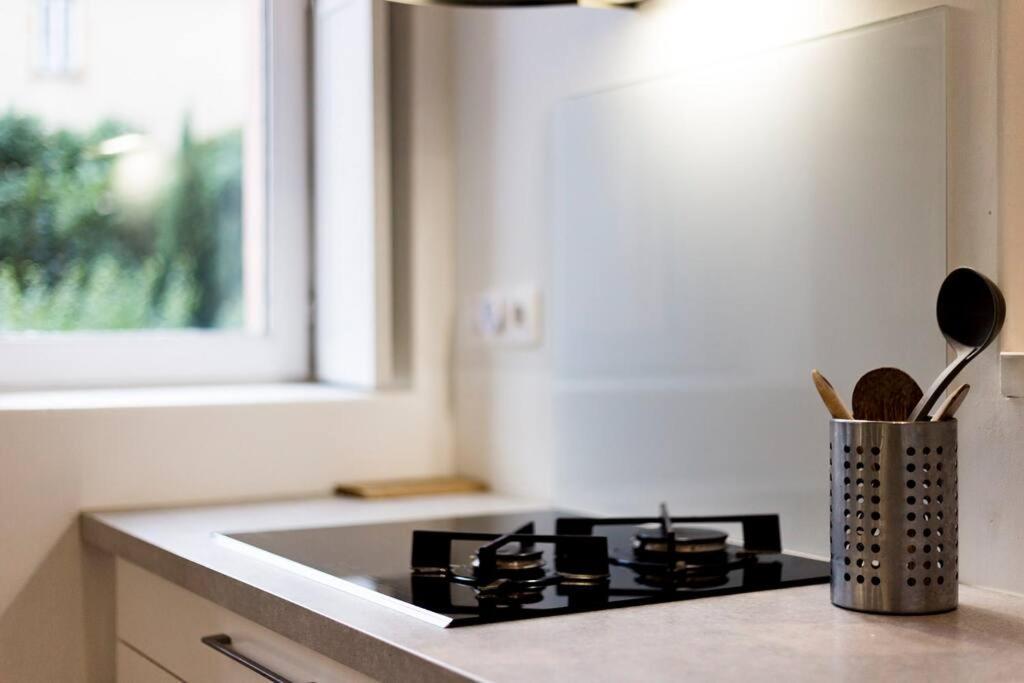 Grand Duplex Au Coeur Du Vieux Lione